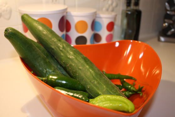 Vegetables from the garden