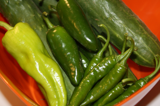 Vegetables from the garden