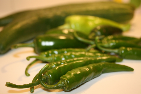 Vegetables from the garden